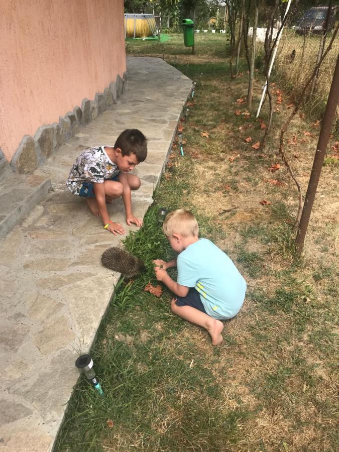 Стаи За Гости Тони Рибарица Екстериор снимка